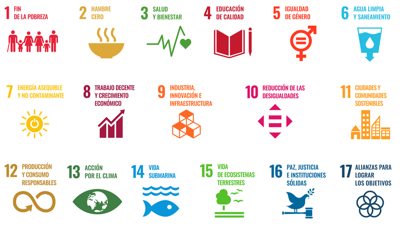Acciones HSEQ ODS 2030: Prácticas para Empresas en 2025 🌐♻️