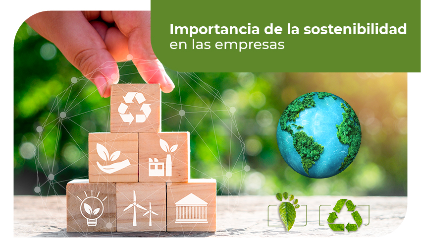 🌱 El rol de las empresas en la sostenibilidad ambiental: Más allá del 5 de junio